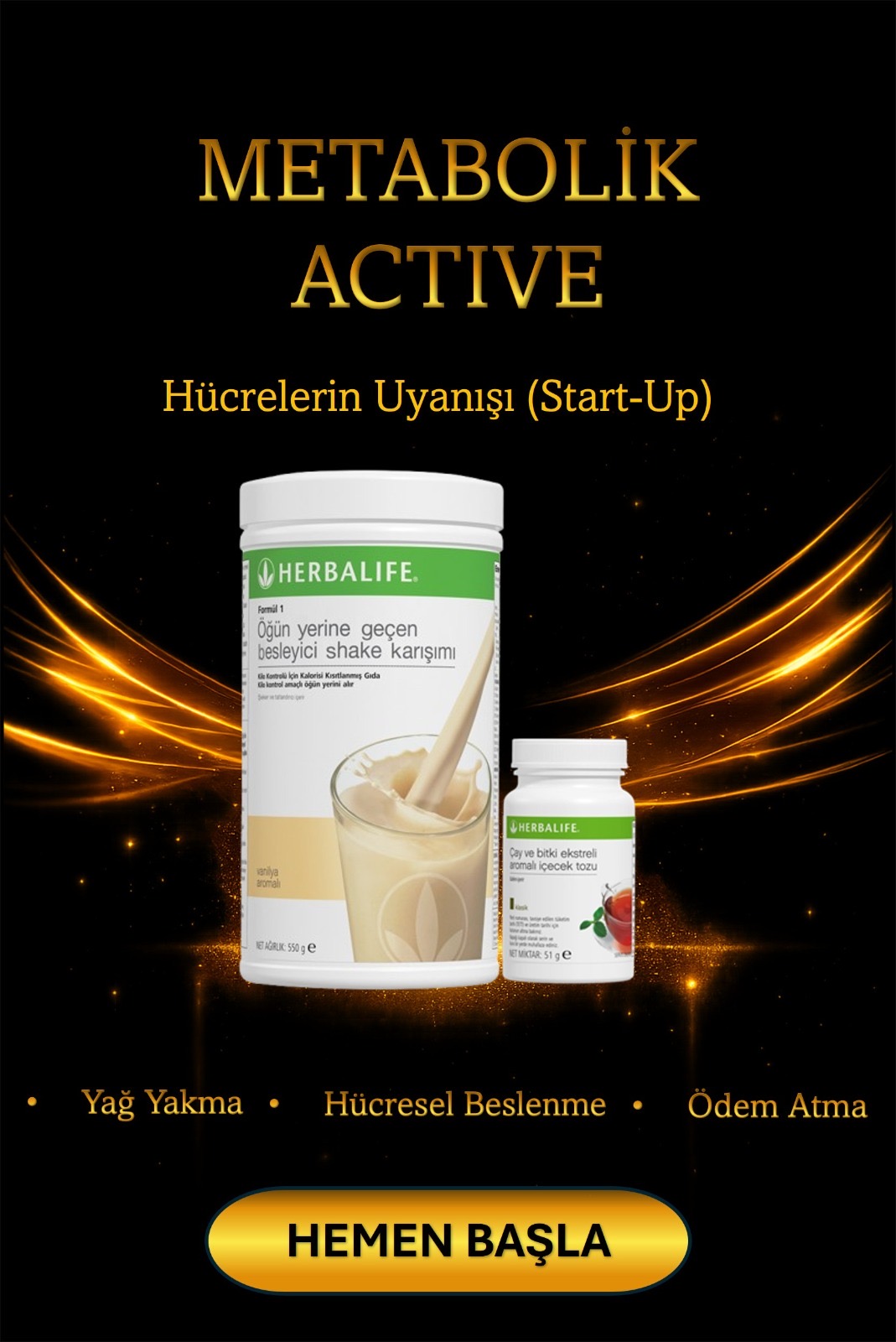 METABOLİK ACTİVE HÜCRELERİN UYANIŞI (START-UP)
